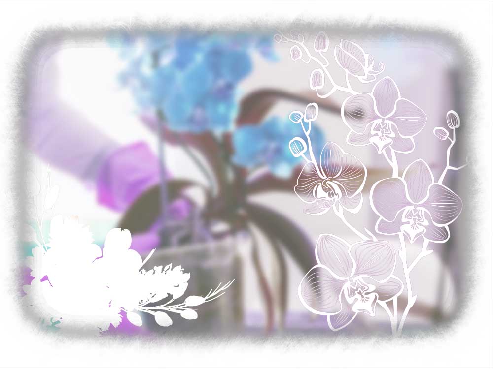Care Orchid