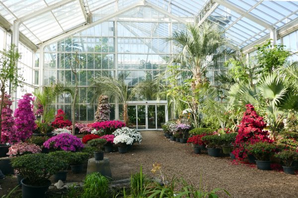 Jardin Botanique